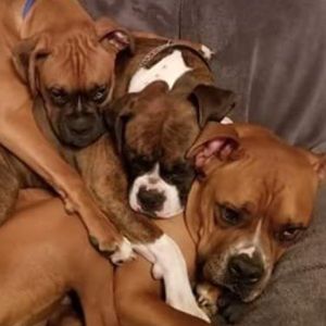 Meet your Posher, Barbara